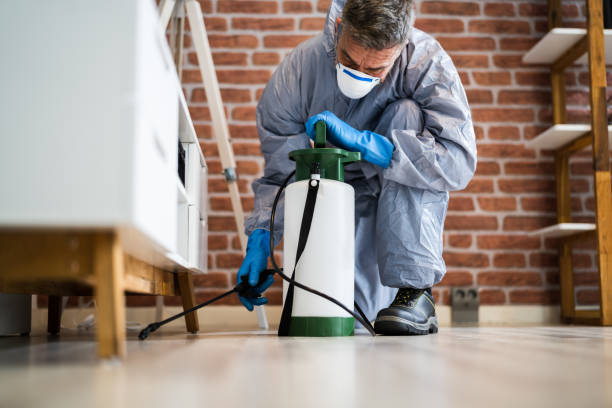 Reliable Edgewood, PA Pest Control Solutions